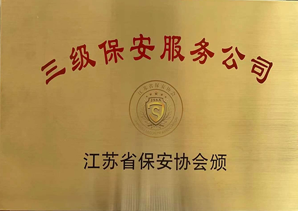 江苏省三级保安公司